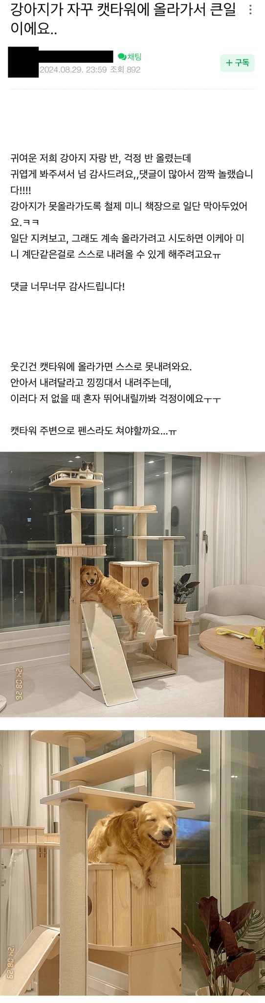게시글 이미지
