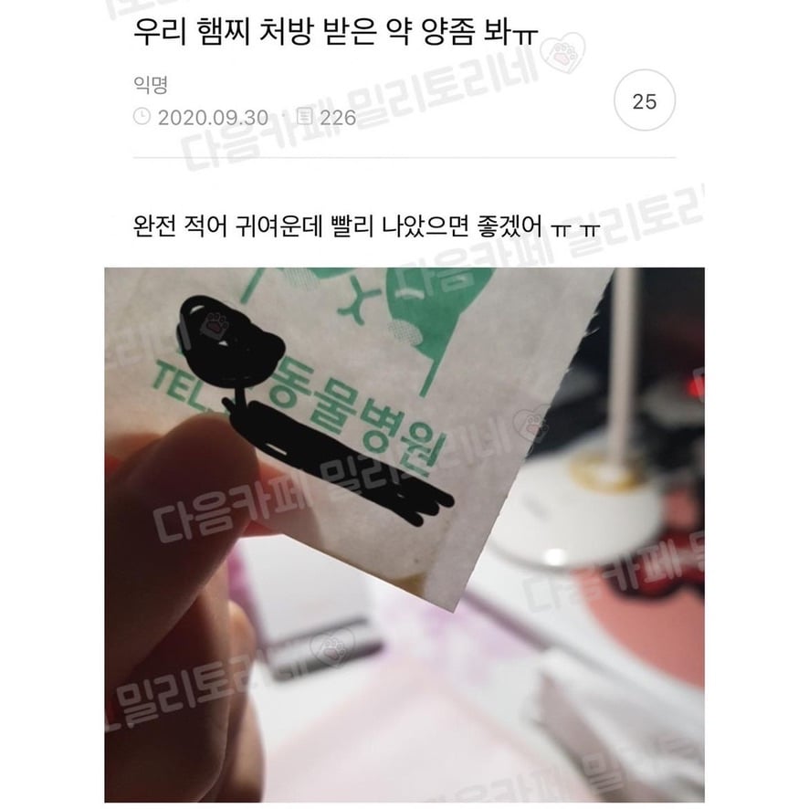 게시글 이미지