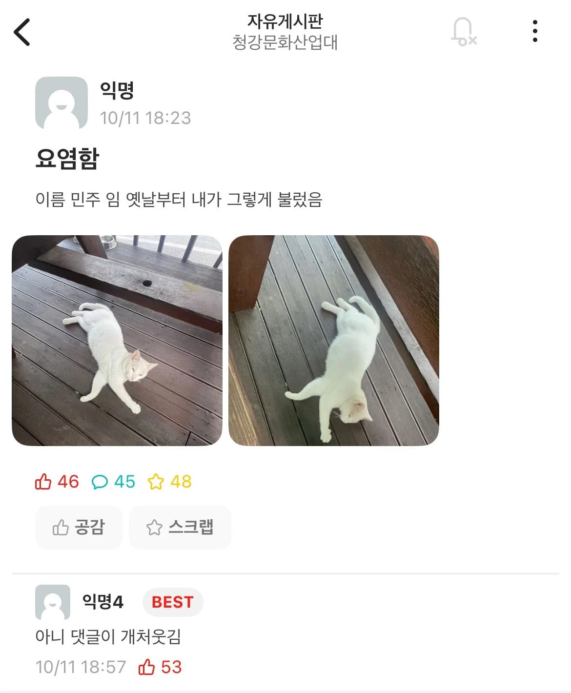 게시글 이미지