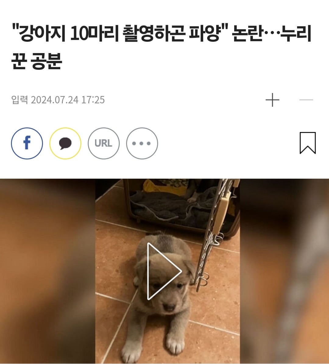 게시글 이미지