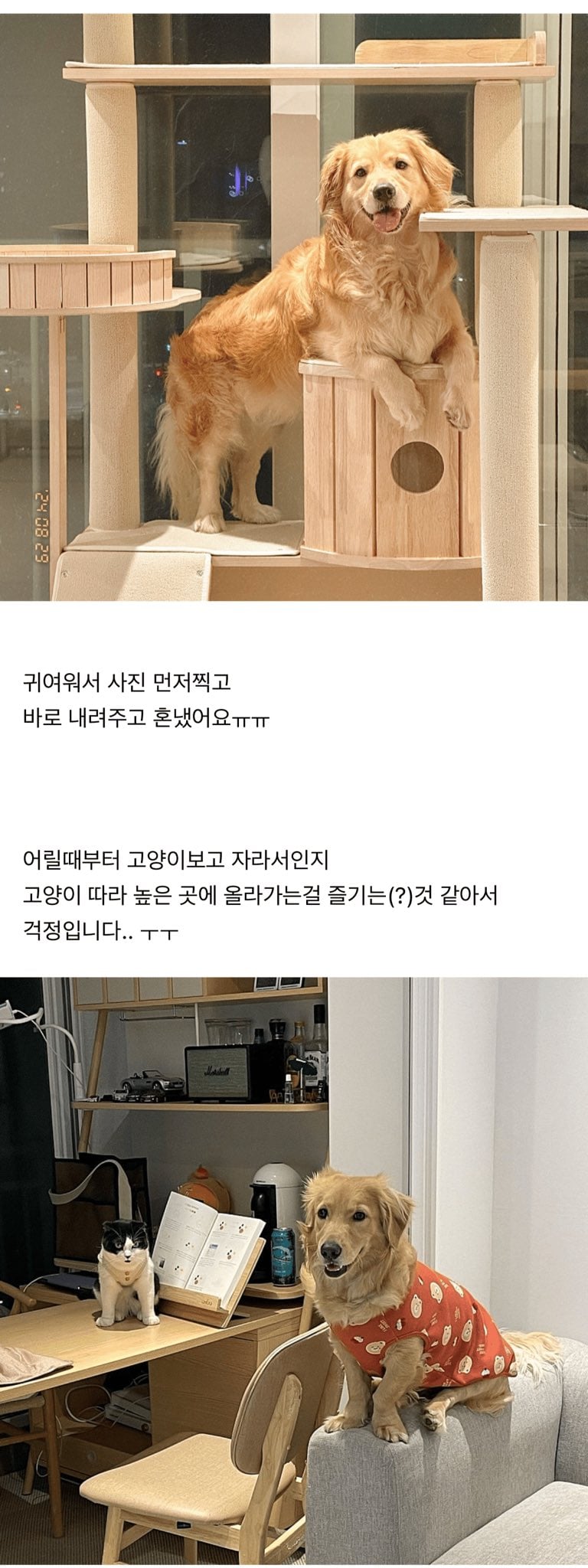게시글 이미지