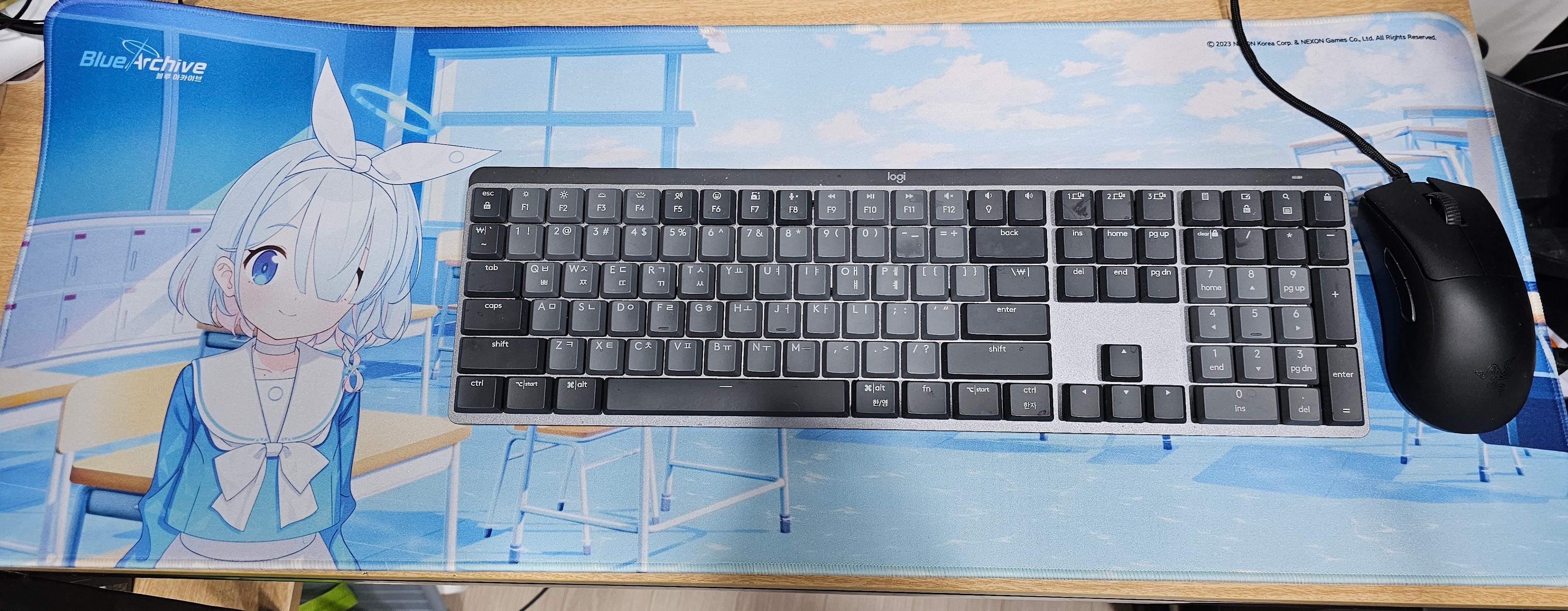 게시글 이미지