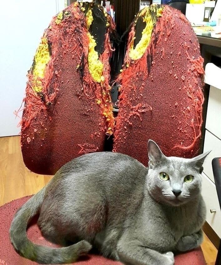 게시글 이미지