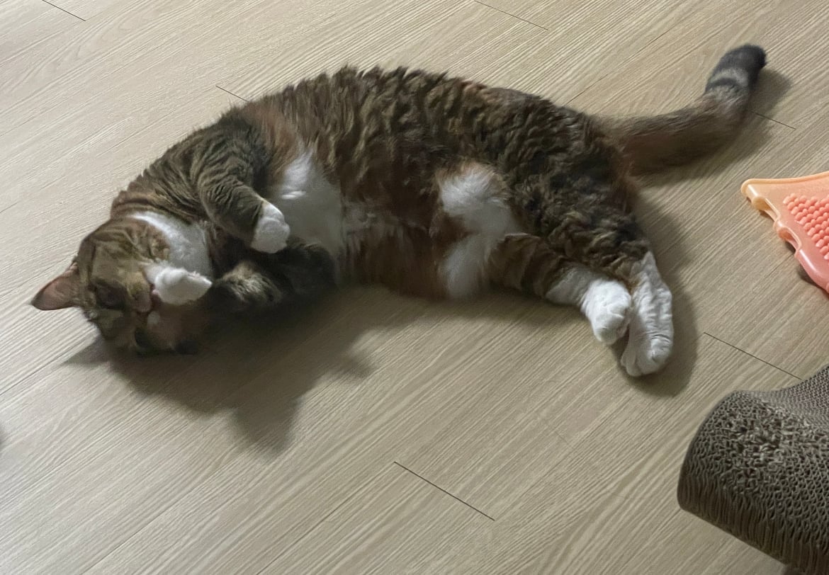 게시글 이미지