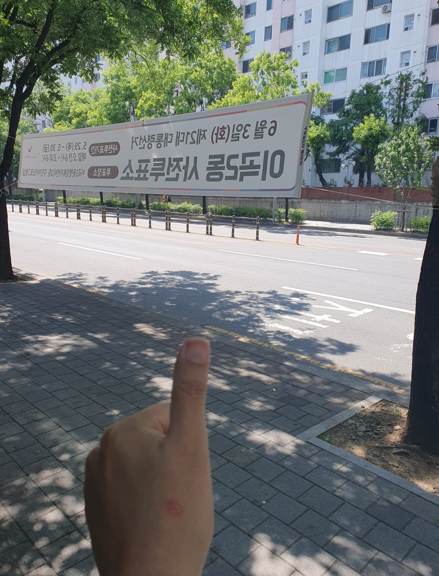 게시글 이미지