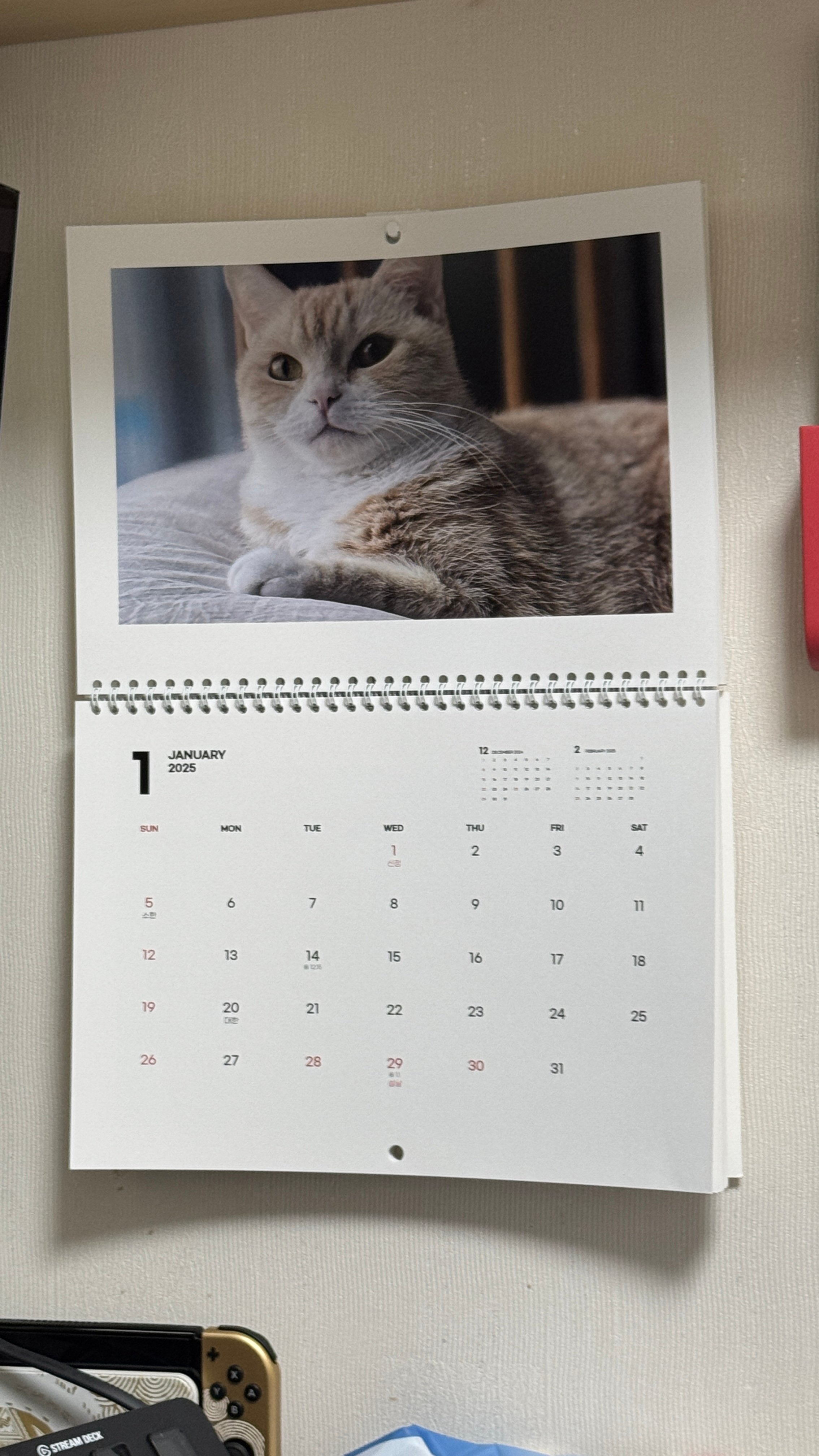 게시글 이미지