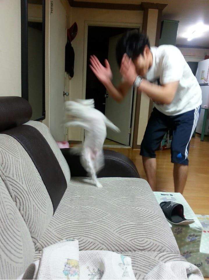 게시글 이미지