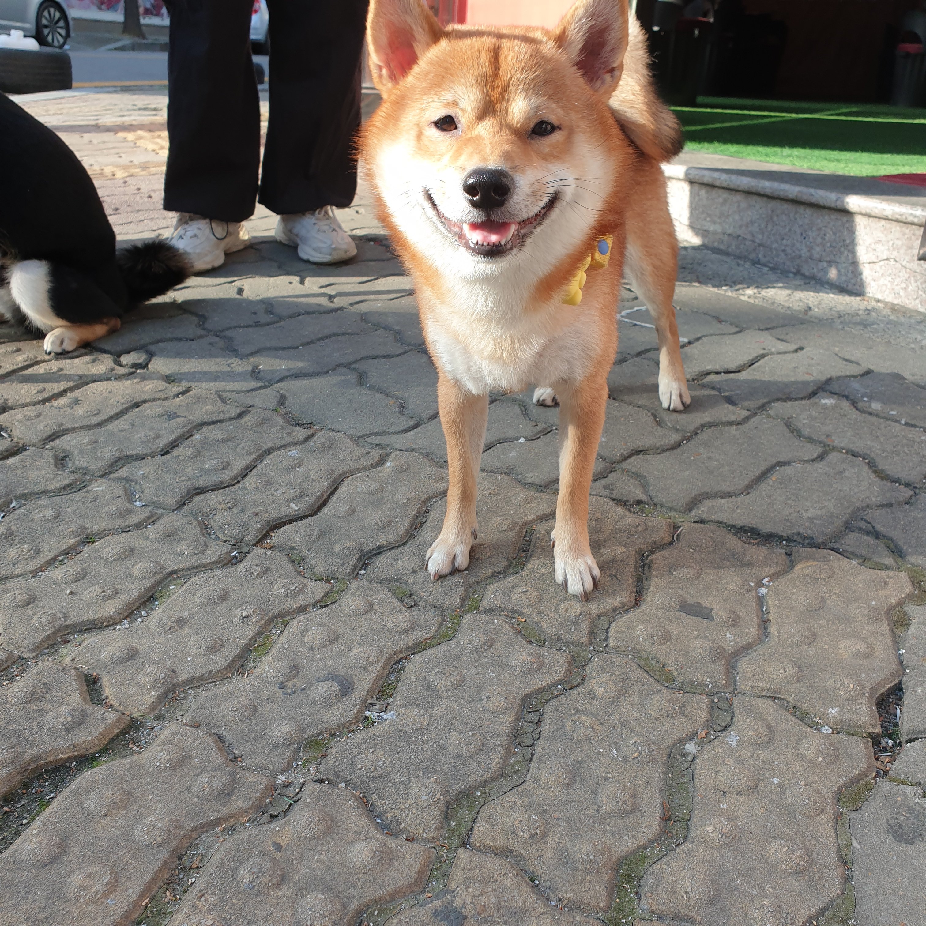게시글 이미지
