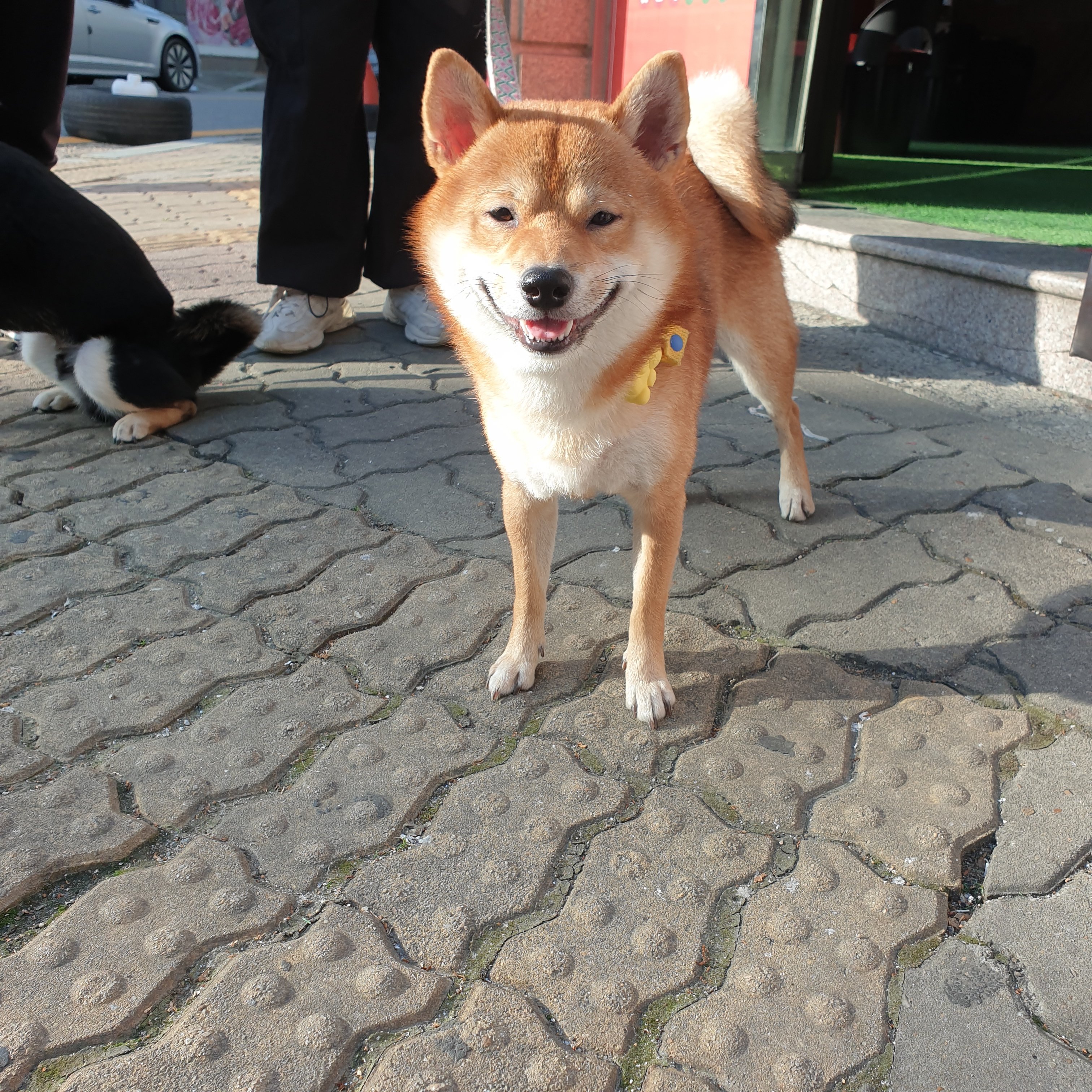 게시글 이미지
