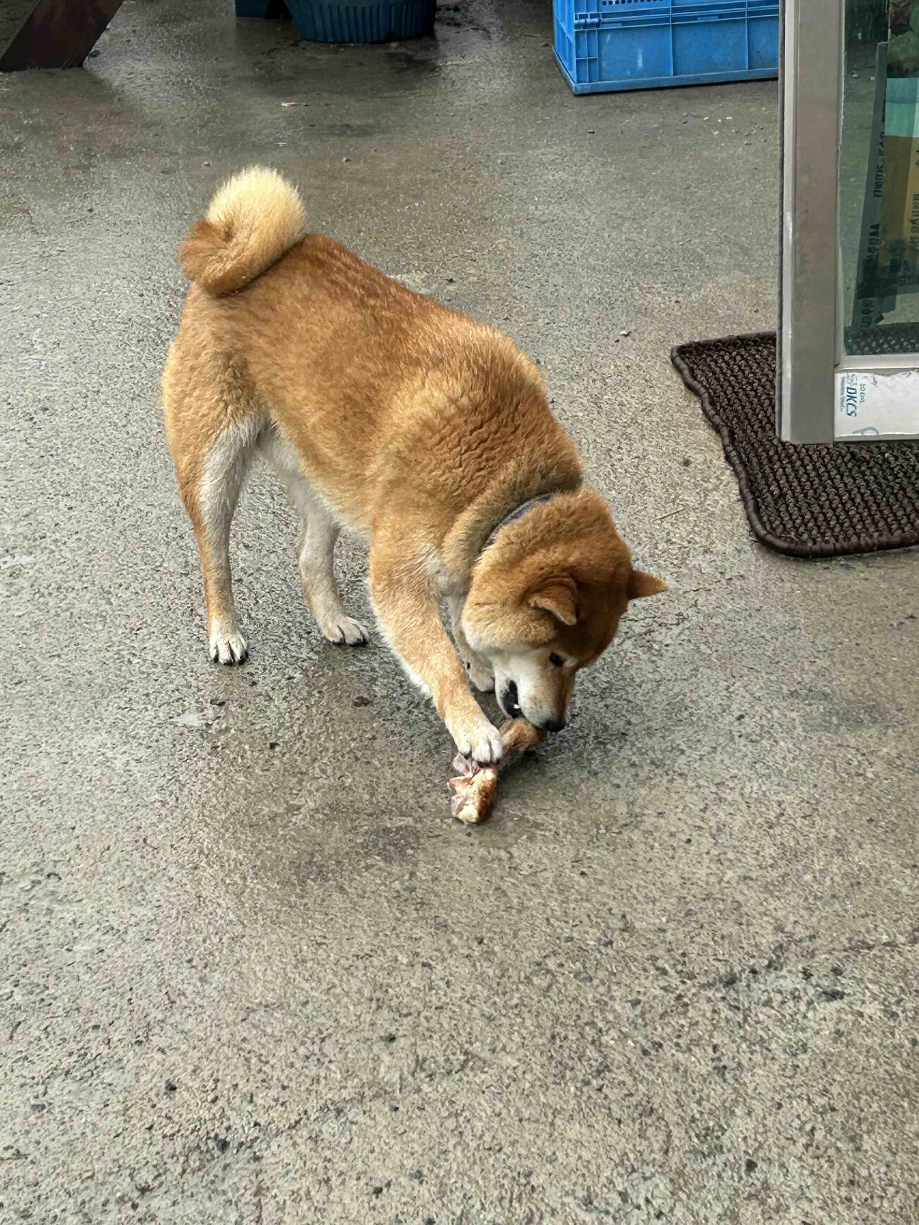 게시글 이미지