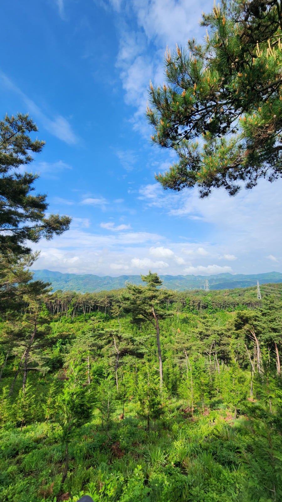 게시글 이미지