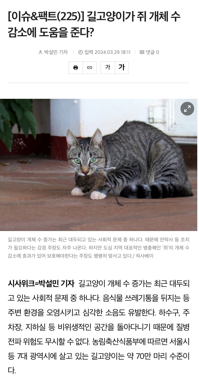 게시글 이미지