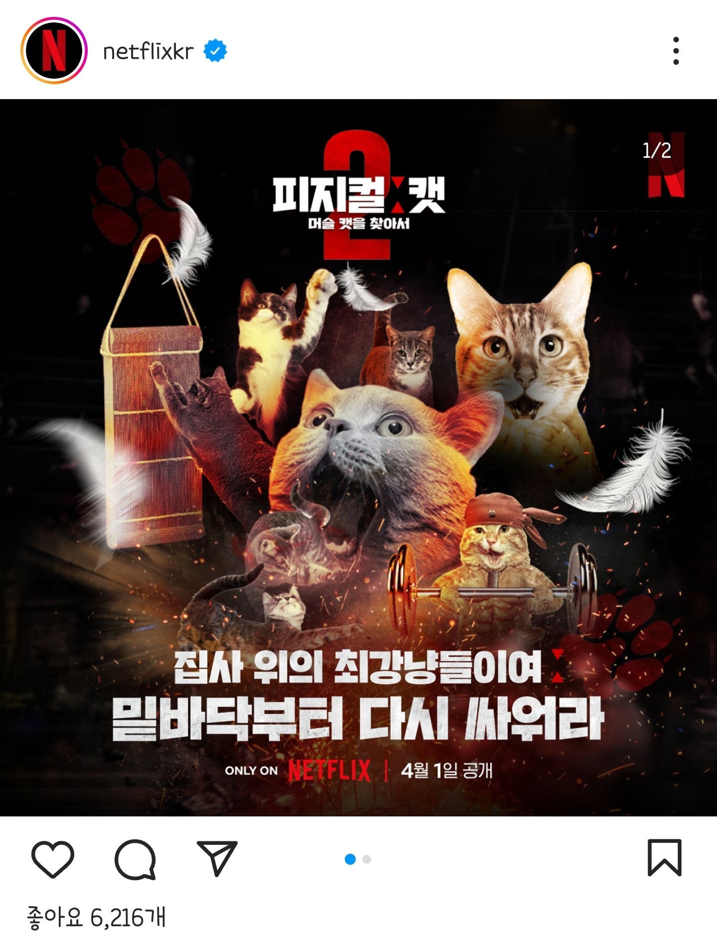 게시글 이미지