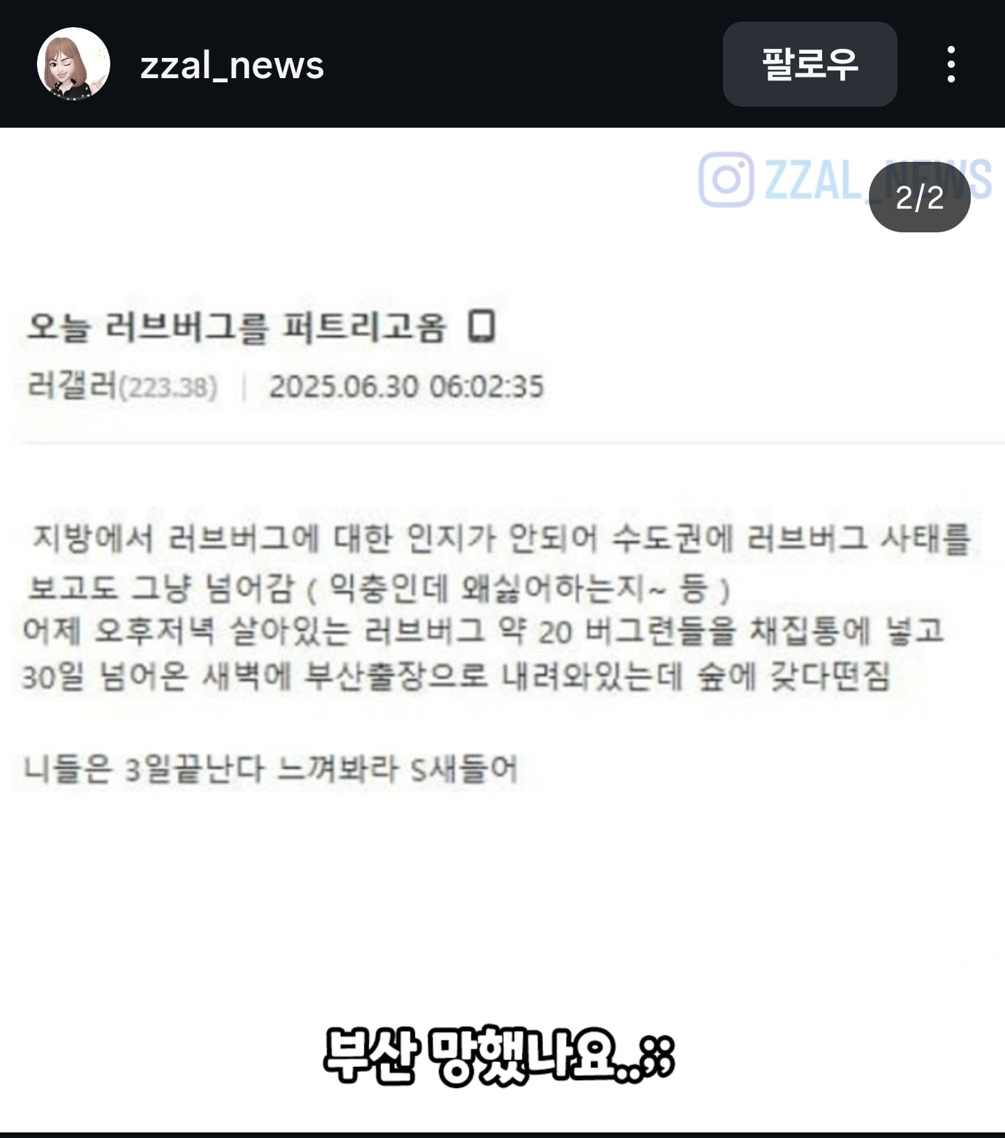 게시글 이미지