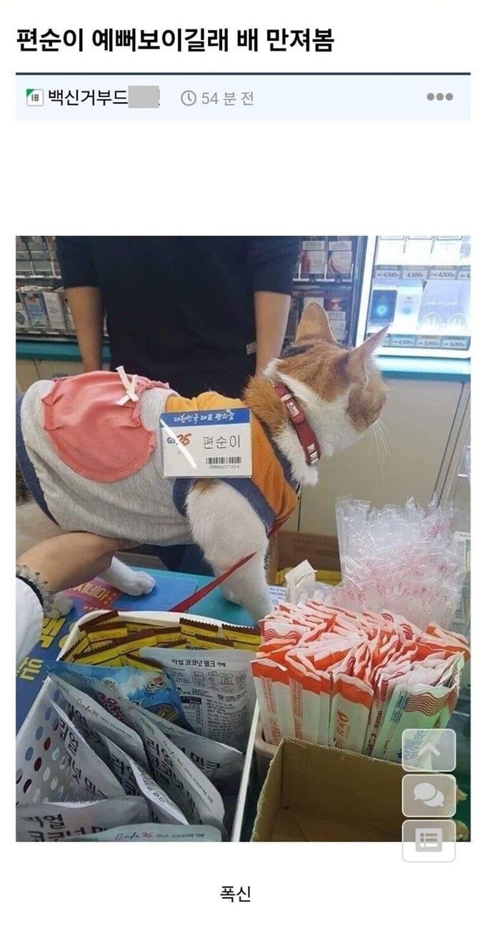 게시글 이미지