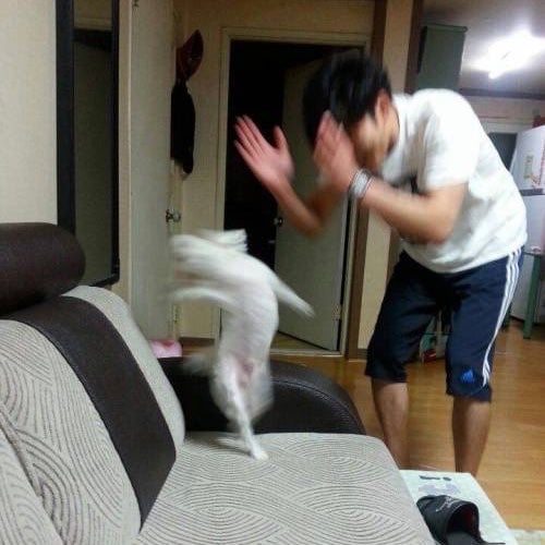 게시글 이미지