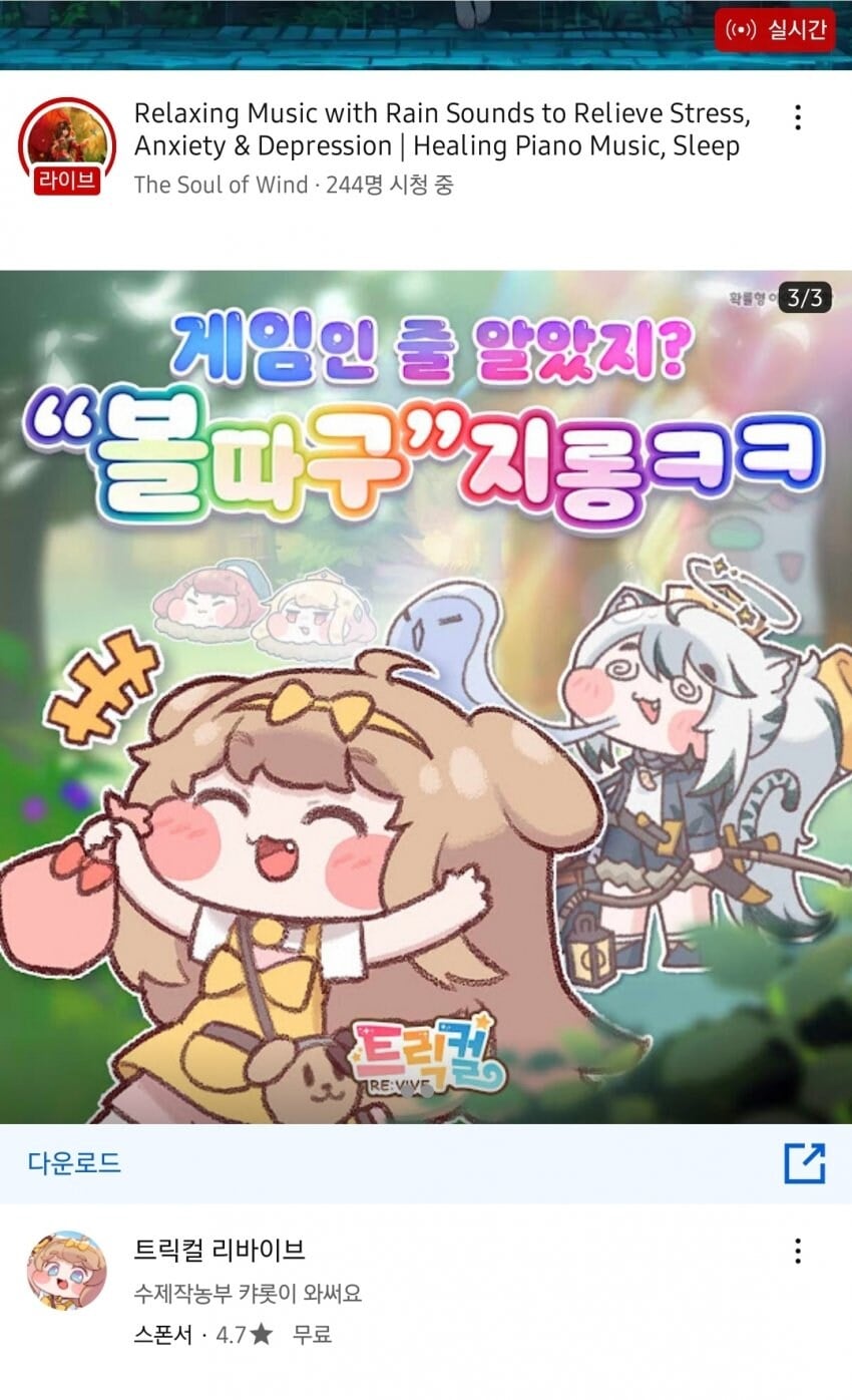 게시글 이미지