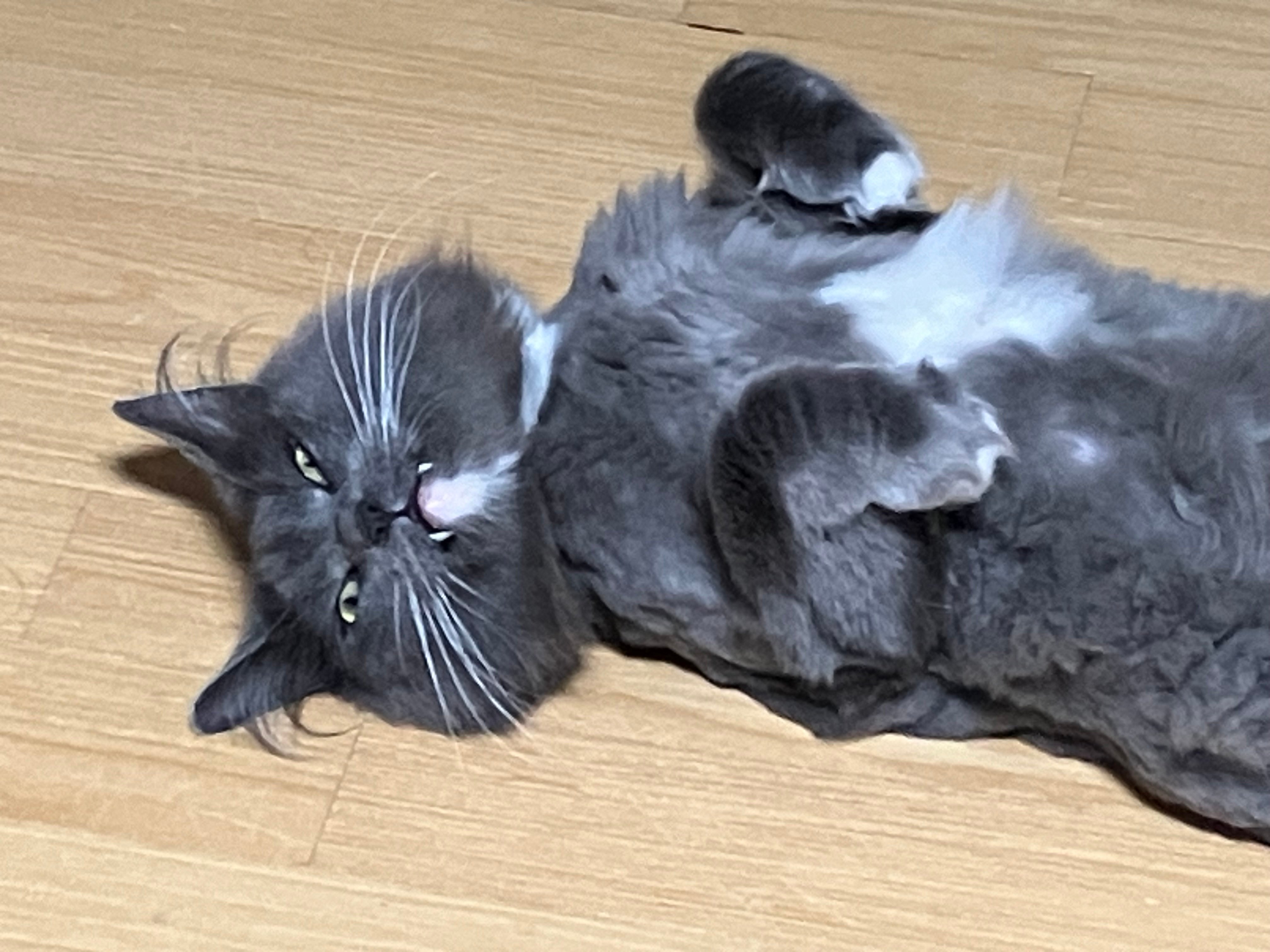 게시글 이미지