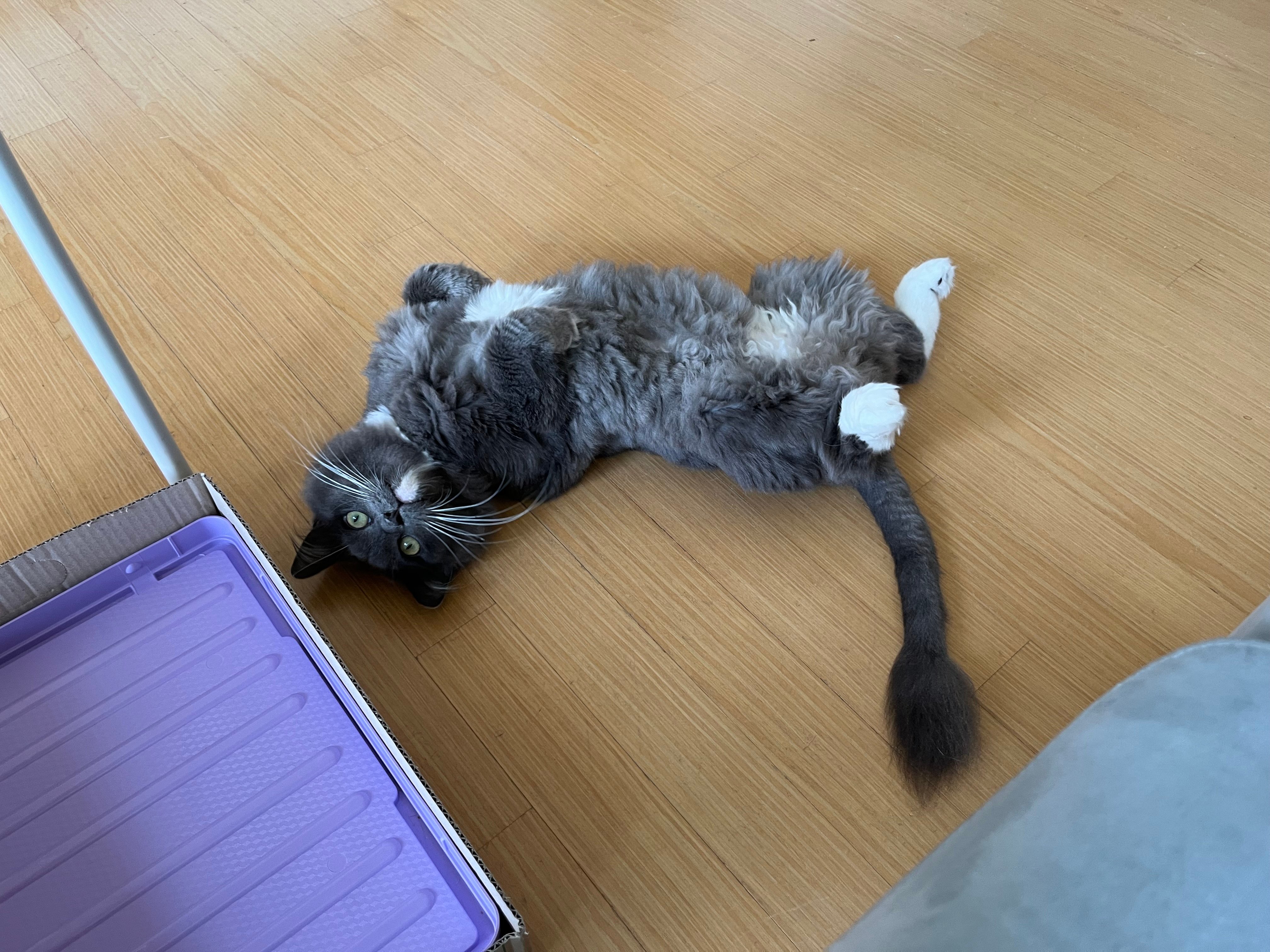 게시글 이미지
