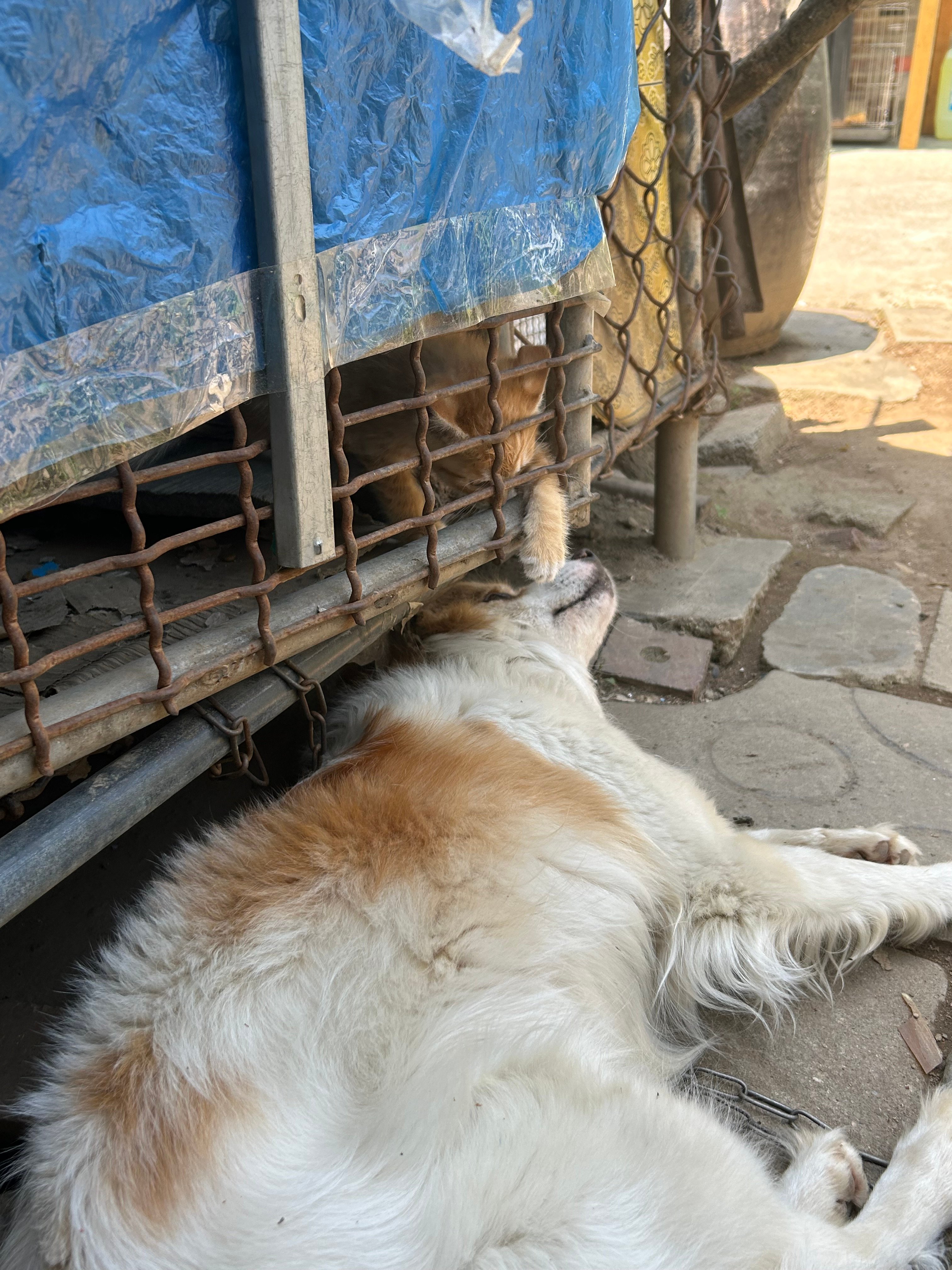 게시글 이미지