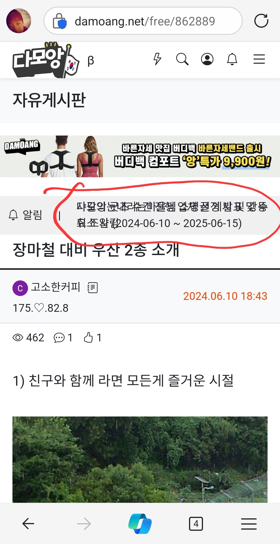 게시글 이미지