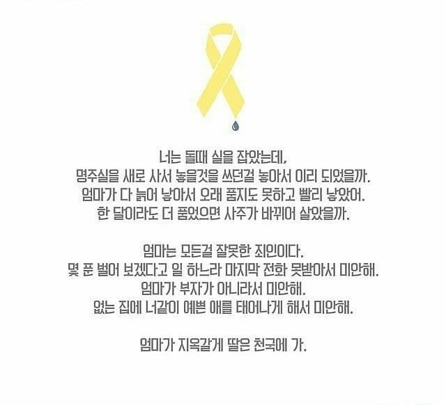 게시글 이미지