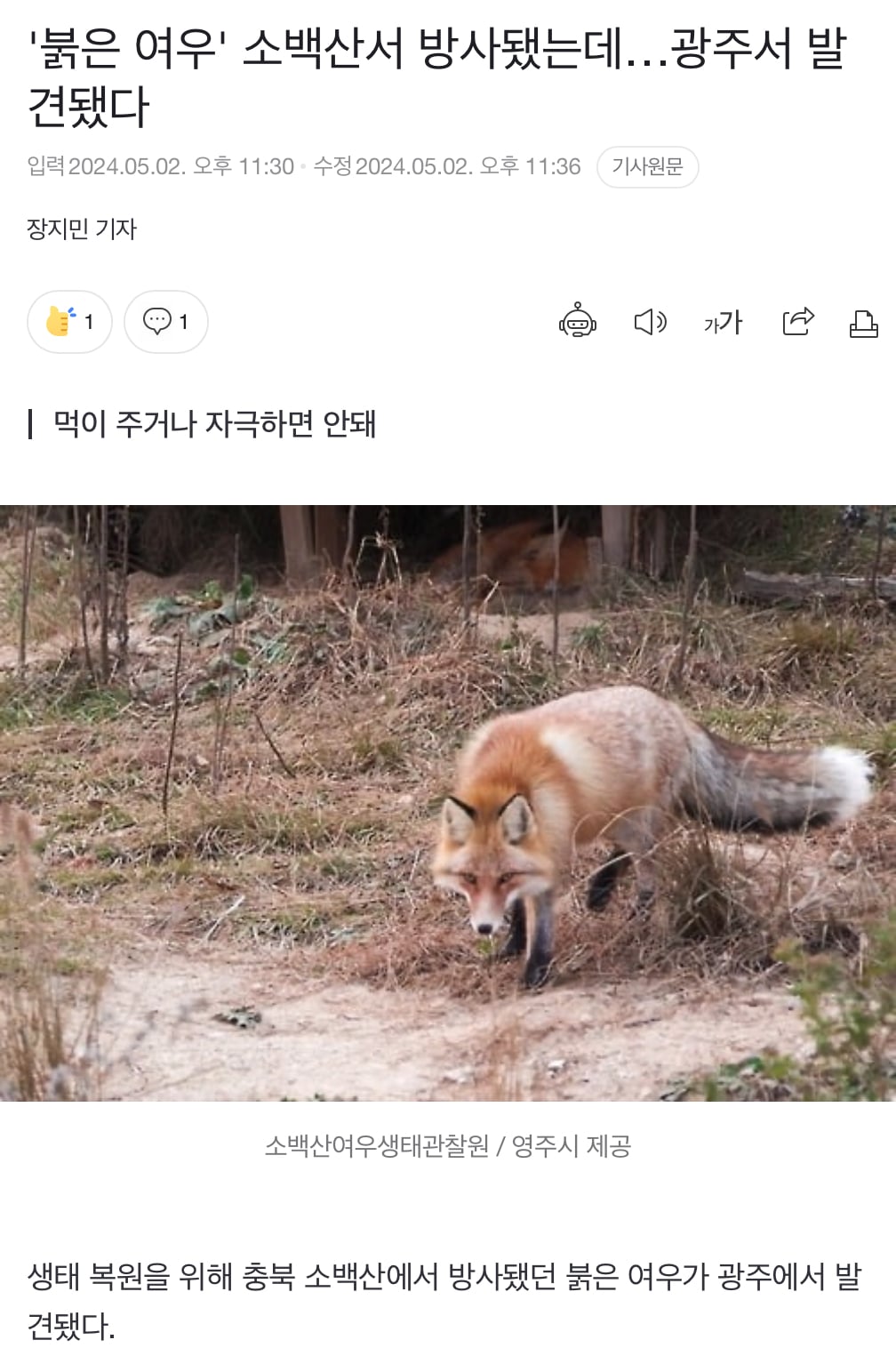 게시글 이미지