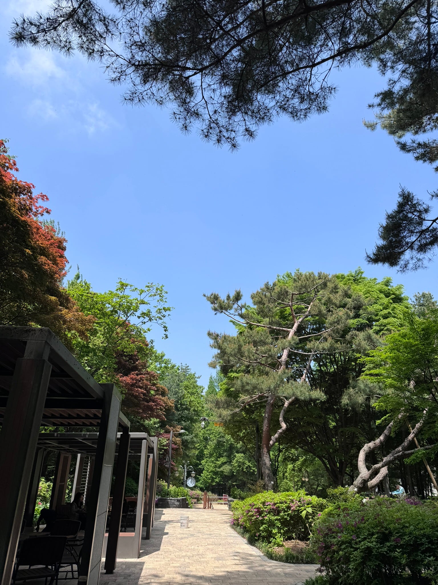 게시글 이미지