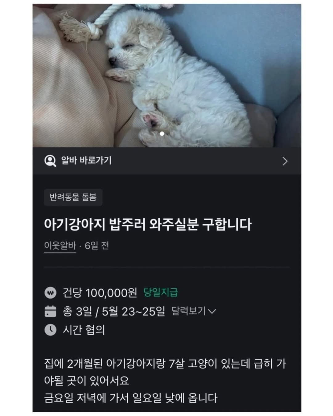 게시글 이미지