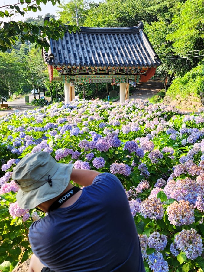게시글 이미지