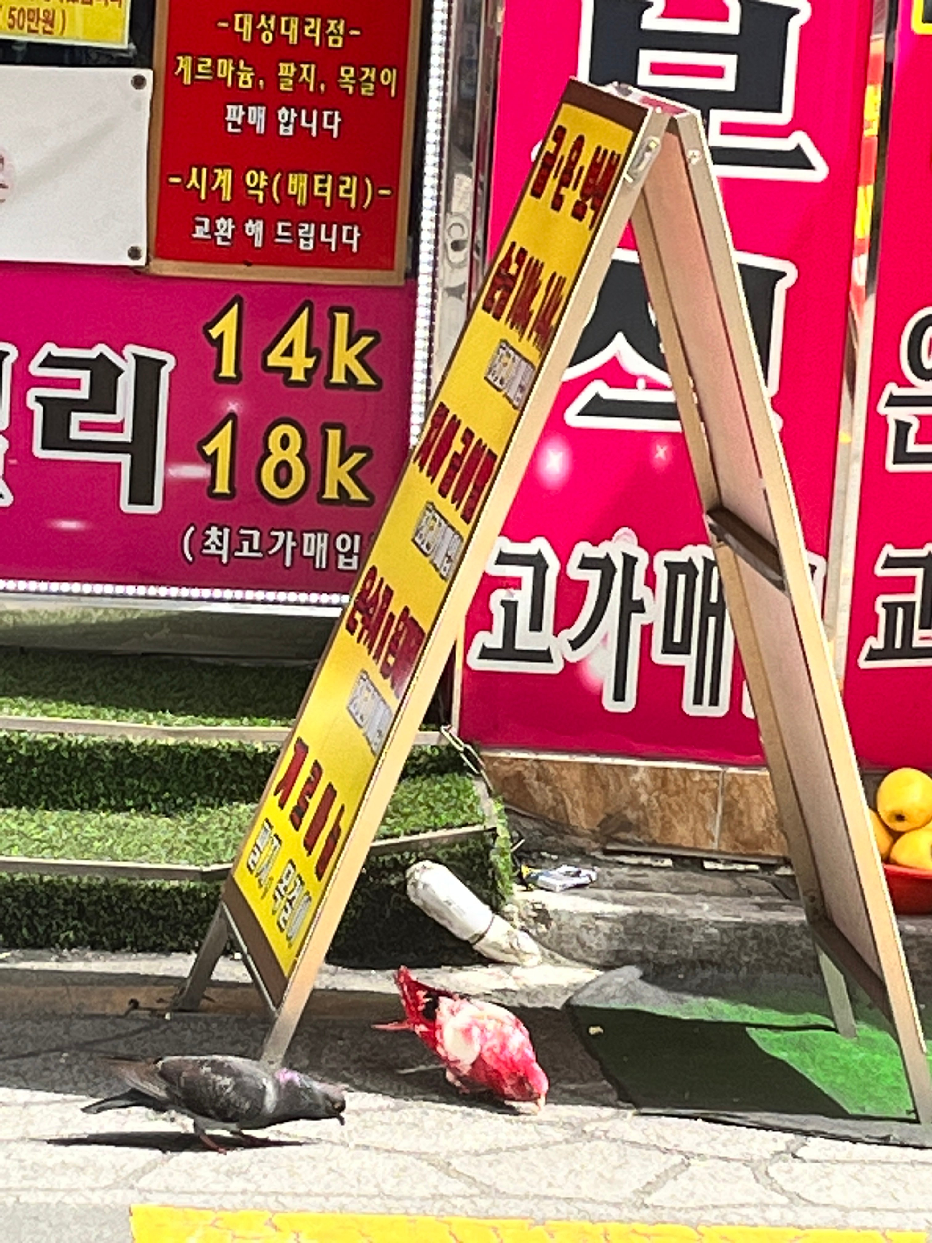 게시글 이미지