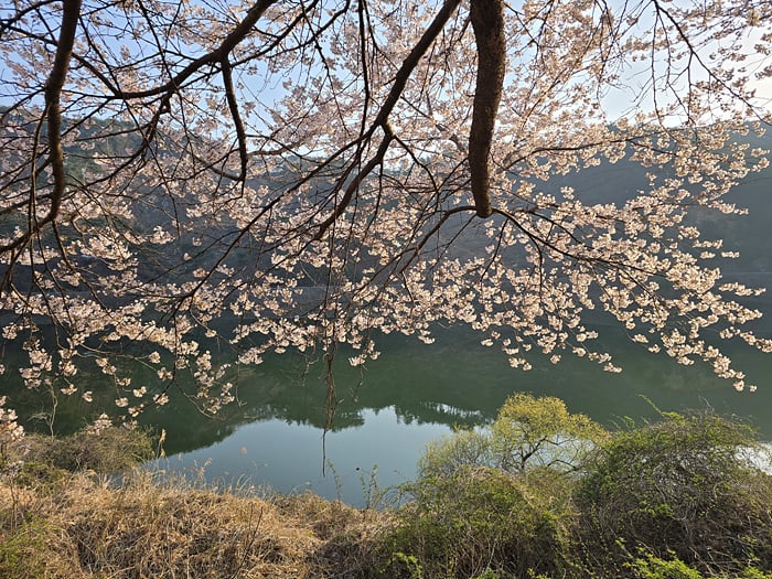 게시글 이미지