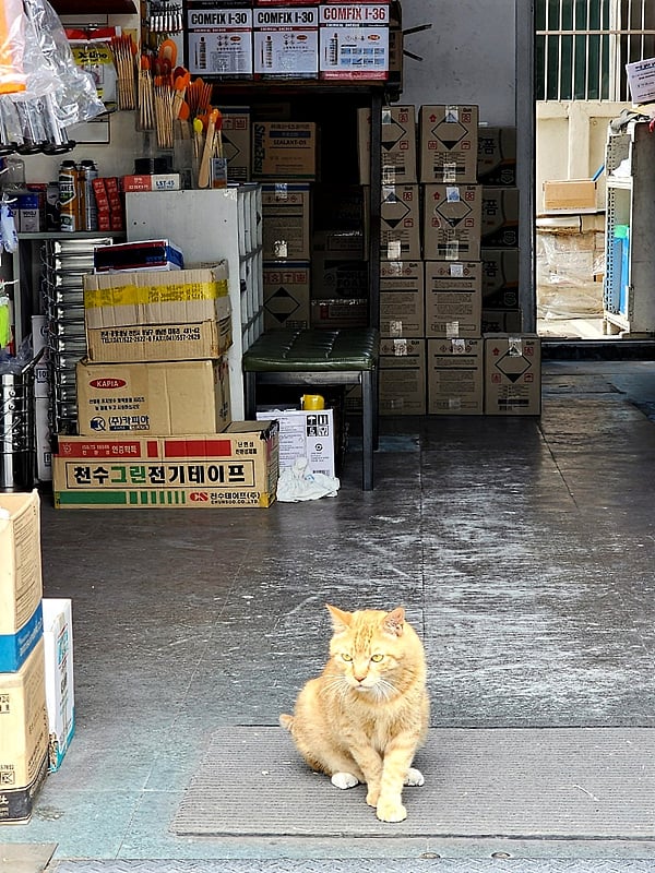 게시글 이미지