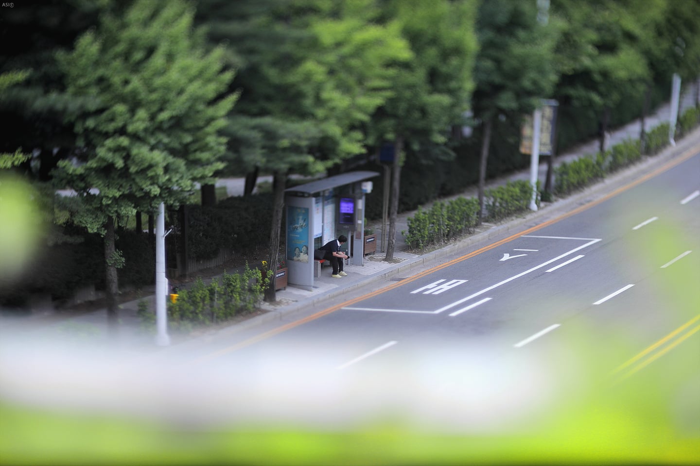 게시글 이미지