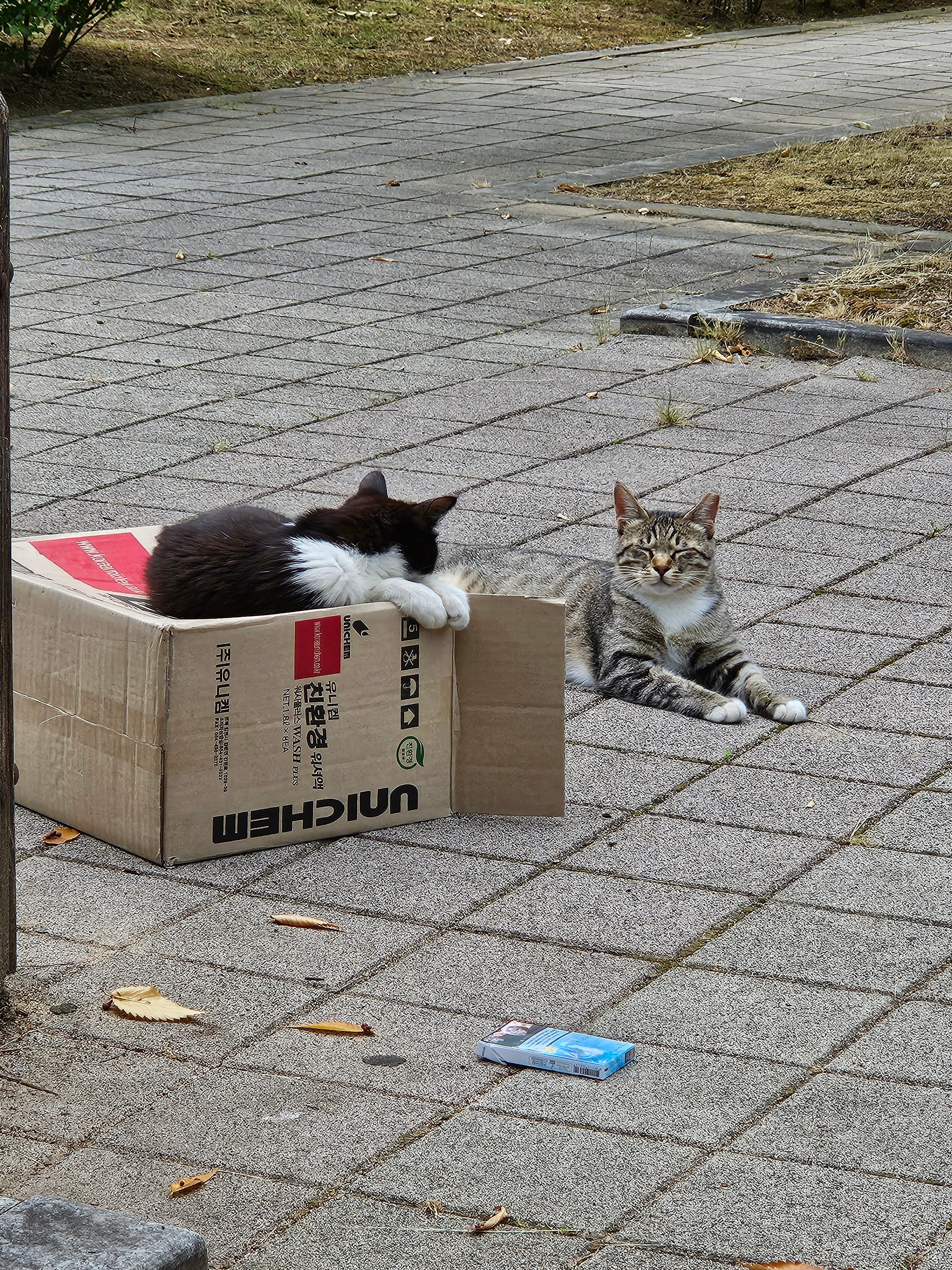 게시글 이미지