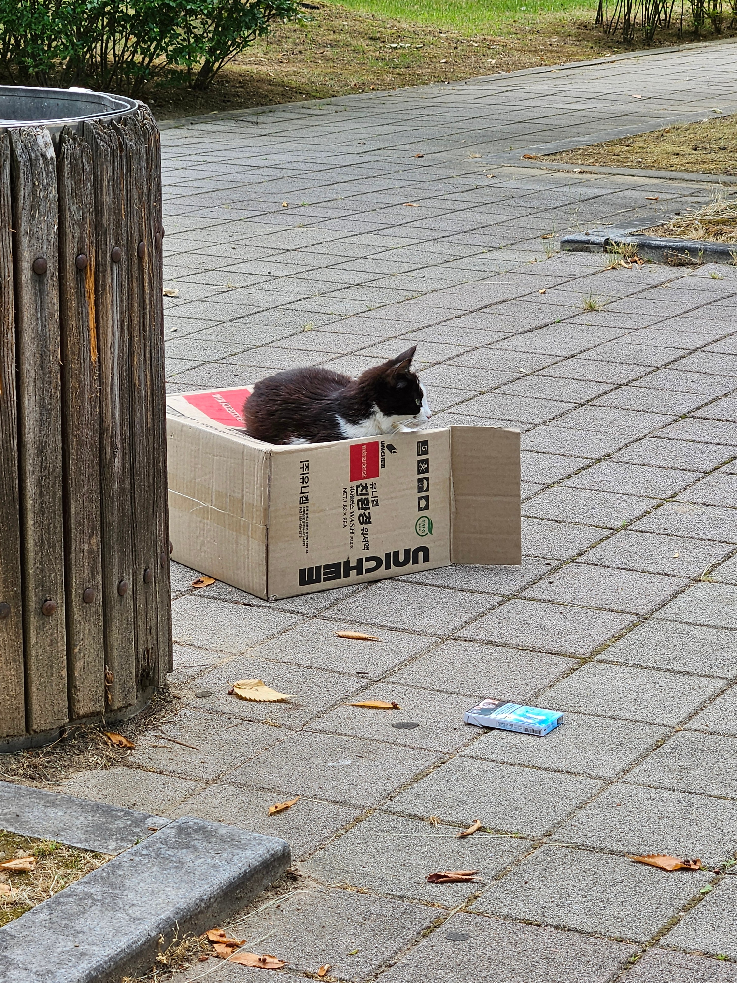 게시글 이미지