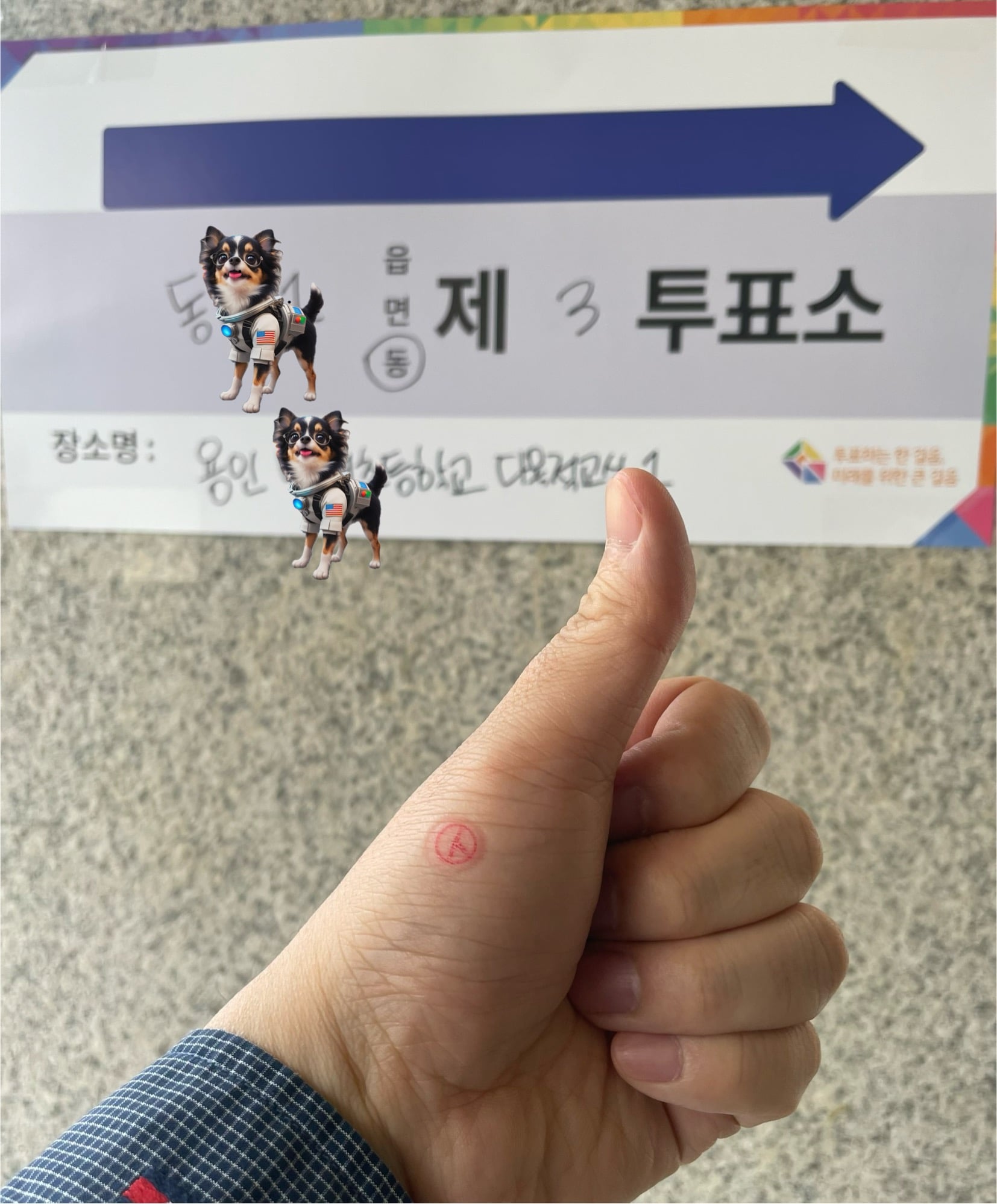게시글 이미지