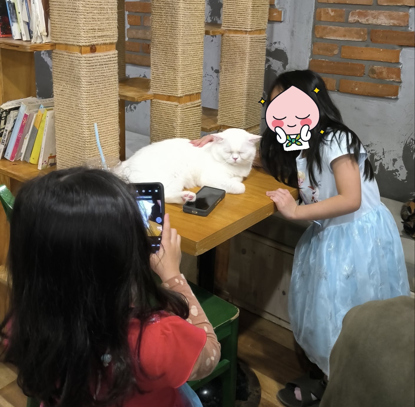 게시글 이미지