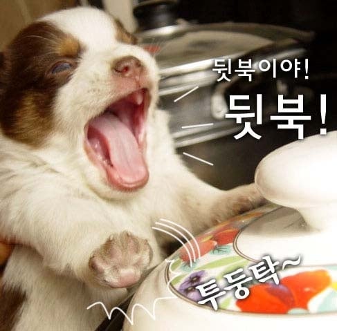 게시글 이미지