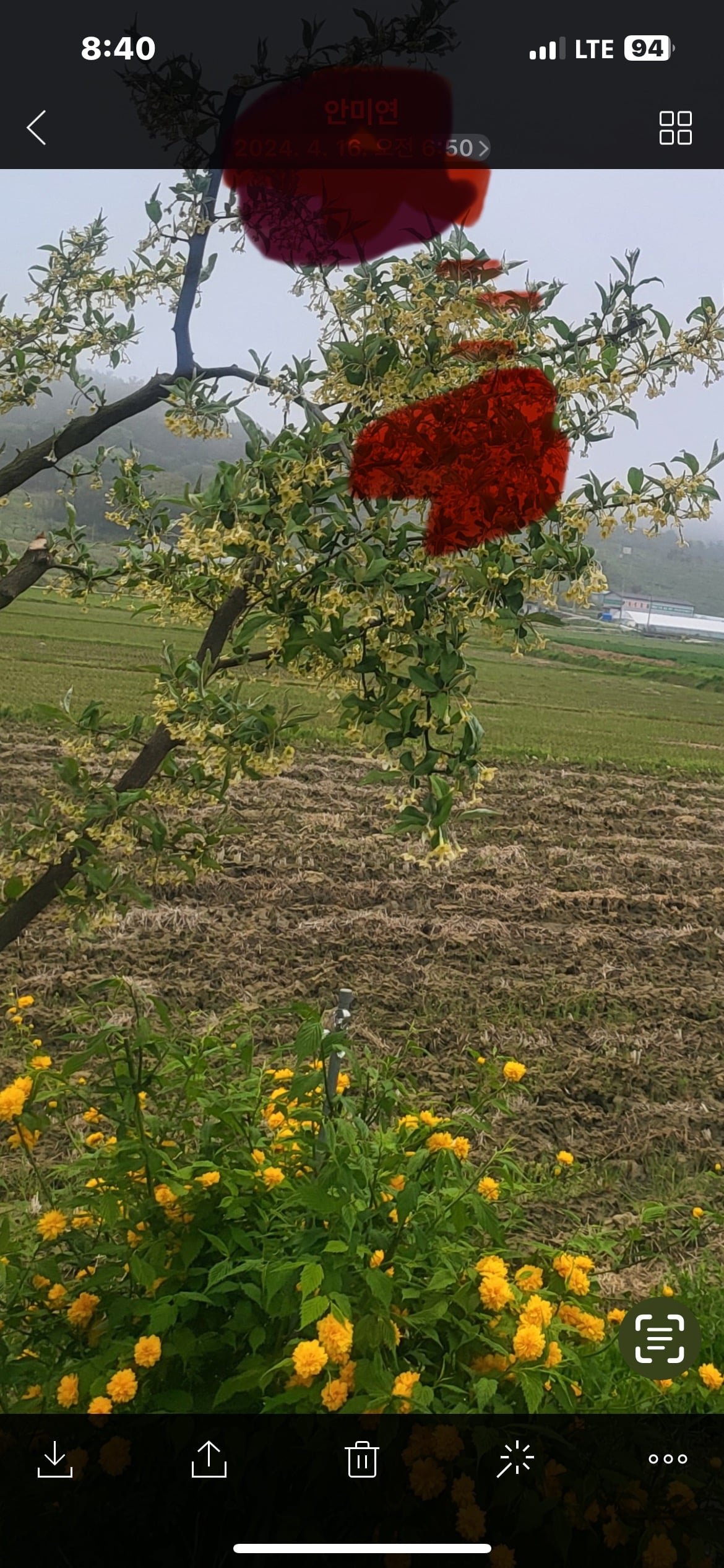 게시글 이미지