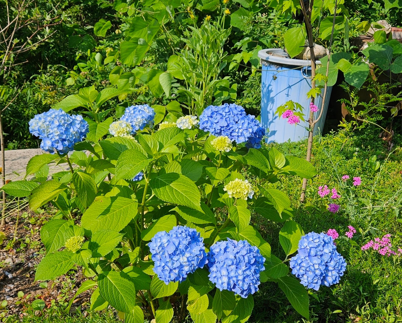 게시글 이미지