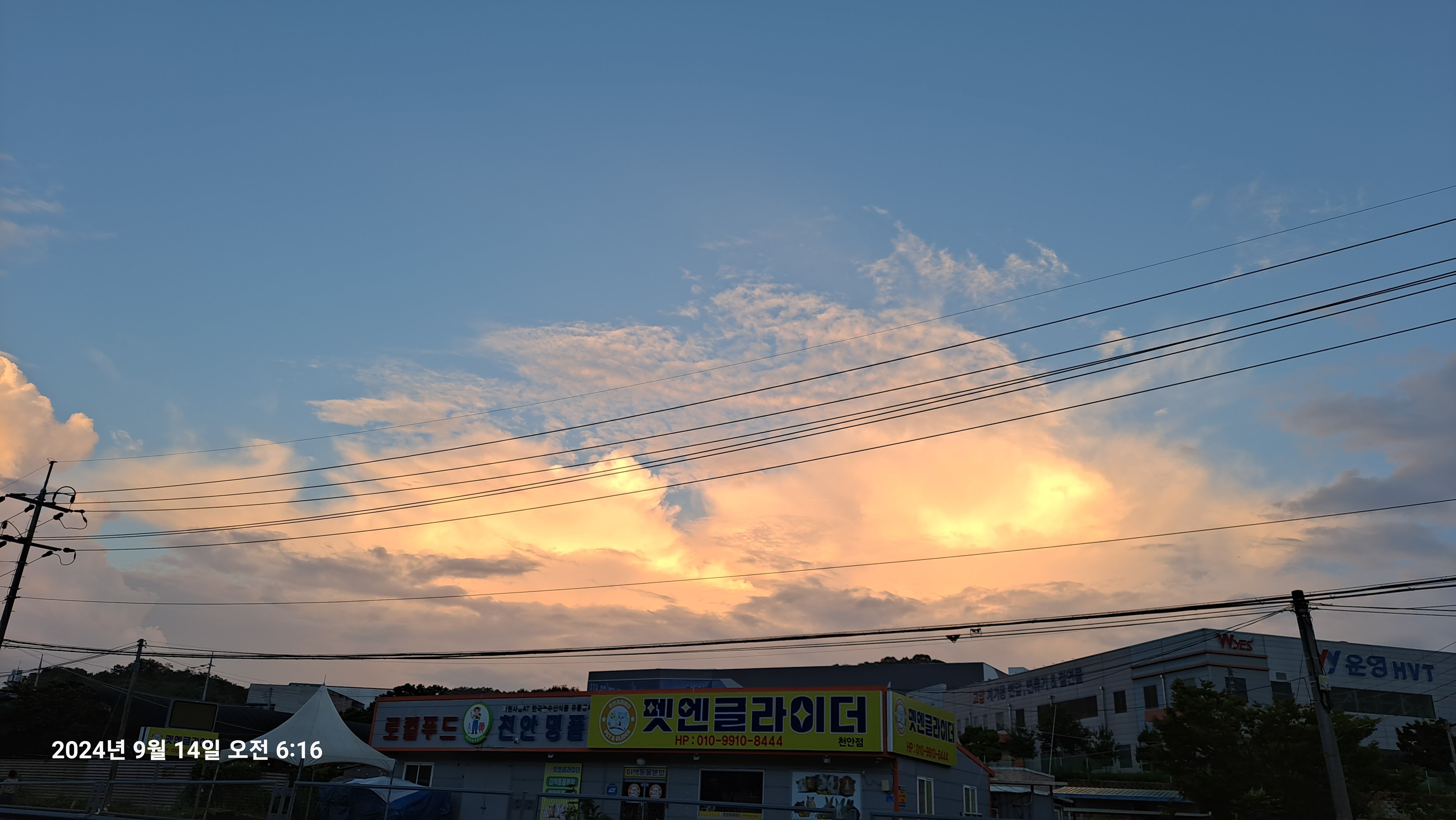 게시글 이미지