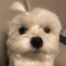 네이넘