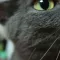 123n8538