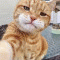 으허헉