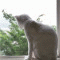climacus
