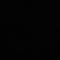 푸선생
