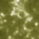 우리애기들최고