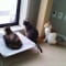 살마키스