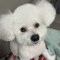 지영이남편